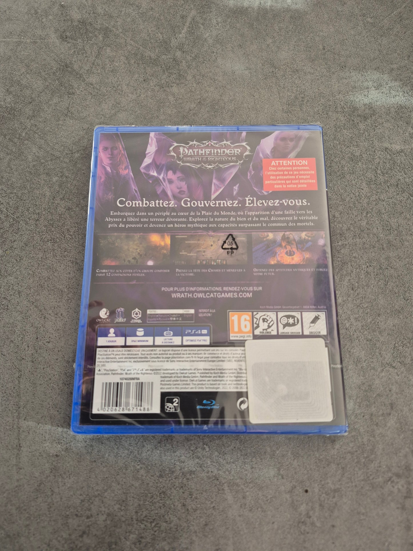 Jeu Pathfinder: Wrath Of The Righteous - édition limitée - Sony Playstation 4 PS4 FR