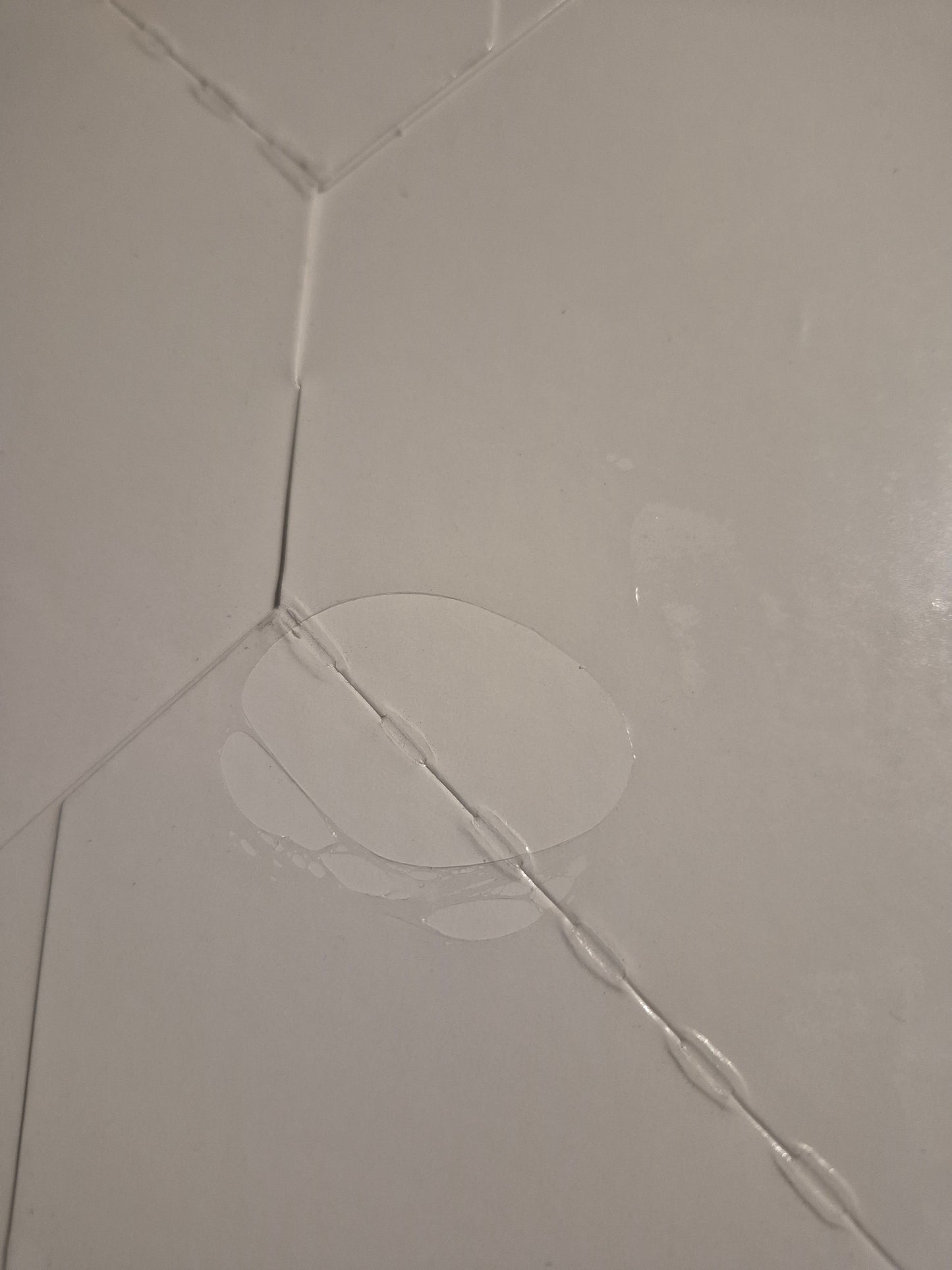 Display DuoPack EB7 EV2 FR- Évolution Céleste + Booster Évolution A Paldea Neuf Scellé